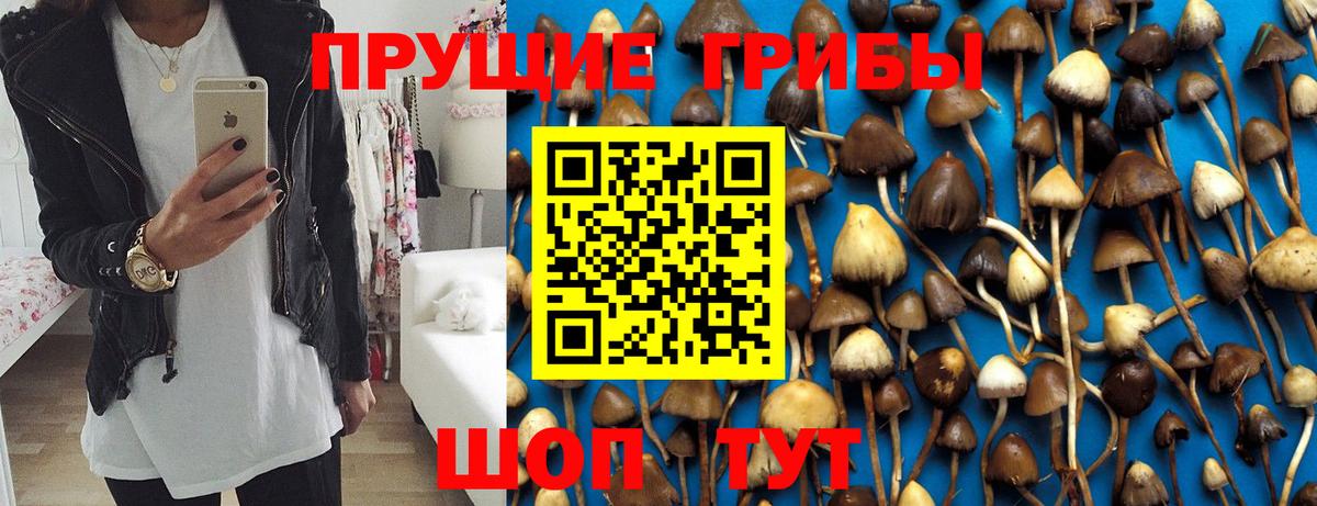 Псилоцибиновые грибы прущие грибы  Галлюциногенные грибы мицелий  Вход с VPN  Альметьевск 